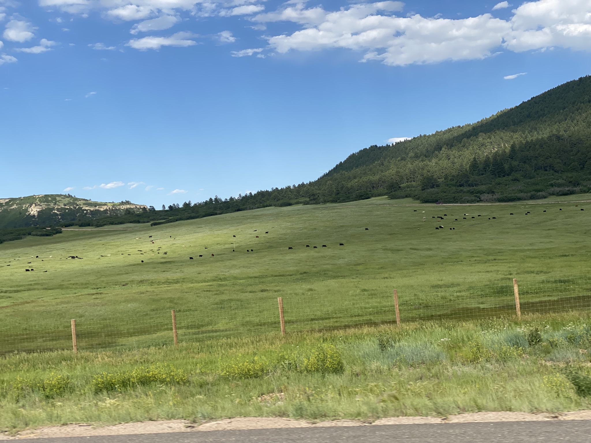 Plains